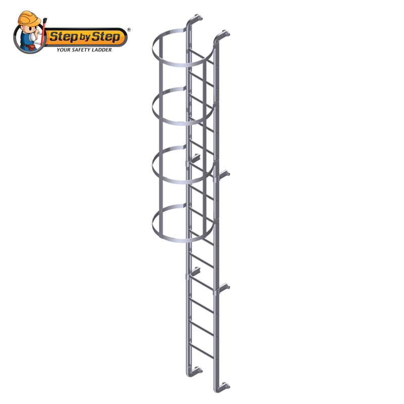 Cat 2024 on ladder